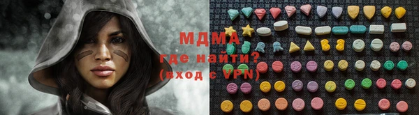 индика Алексин