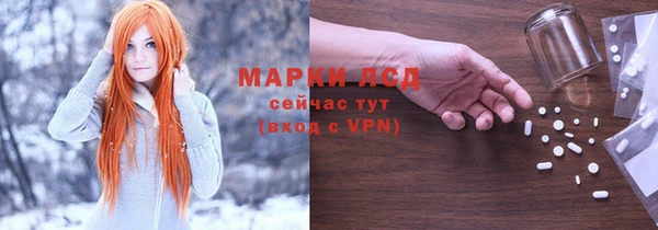 индика Алексин