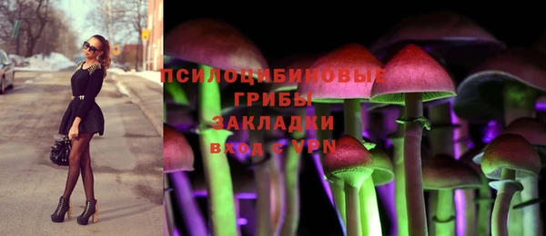 индика Алексин