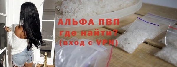 индика Алексин