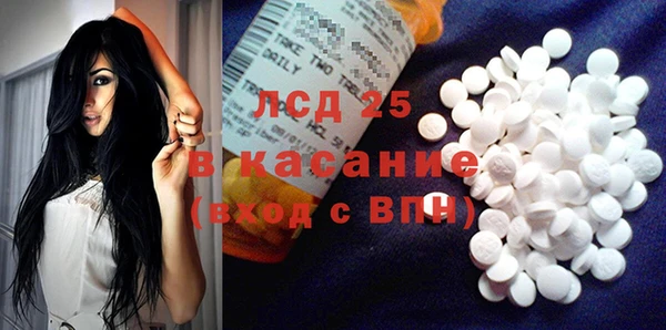 индика Алексин