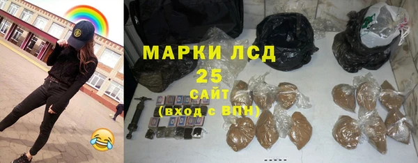 индика Алексин
