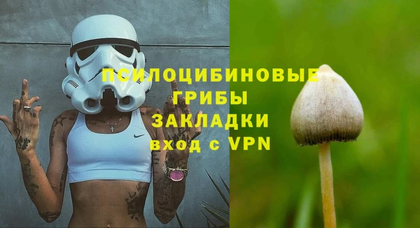 стафф Алексеевка