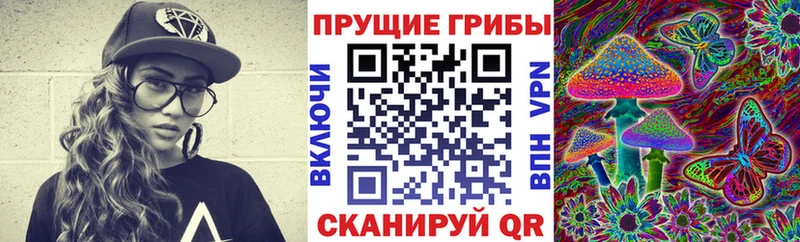 Галлюциногенные грибы Magic Shrooms  магазин продажи   Билибино 